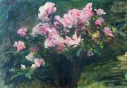 Charles-Amable Lenoir Study of Azaleas Sweden oil painting reproduction